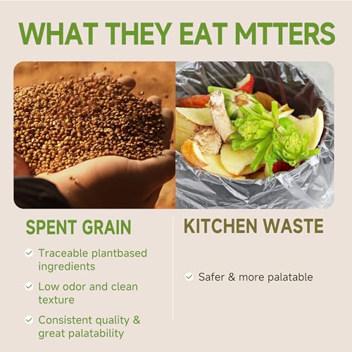5LB Non-GMO Dried Black Soldier Fly Larvae for Chickens 45% Protein High Calcium Chicken Feed Alternative to Mealworms, Dried BSF Larvae Chicken