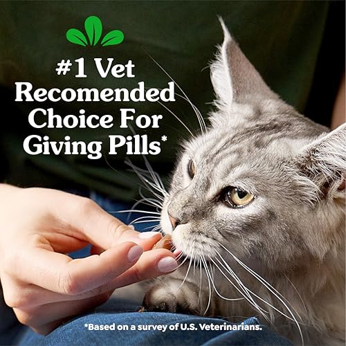 Greenies Feline Pill Pockets for Cats Natural Soft Cat Treats, Chicken Flavor, 3 oz. Pouch (85 Treats)