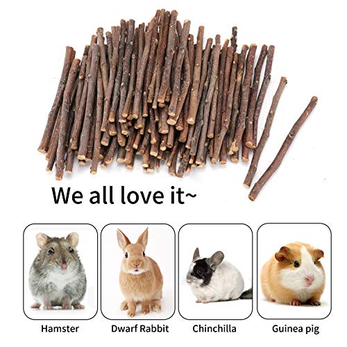 Natural Apple Sticks, 500g Treats Food for Small Animals, Chew Toys for Chinchilla Guinea Pigs Rabbit Squirrel Hamster Bunny