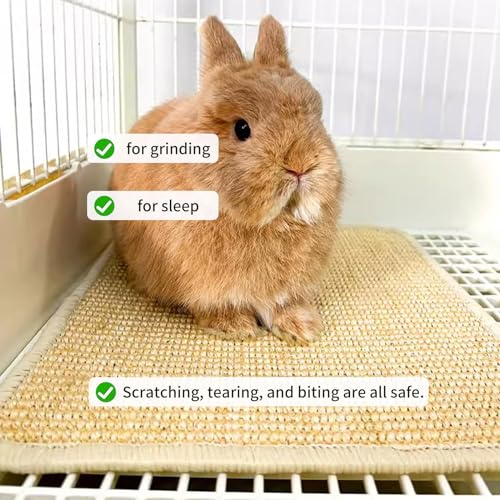 Oncpcare 2PCS Rabbit Scratch Mat Natural Bunny Scratching Pad Claws and Teeth Care Rabbit Mats for Cages Chew Toys for Bunny Pet Cage Bedding for