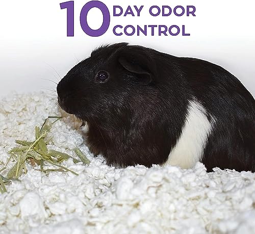 Carefresh 99% Dust-Free White Natural Paper Small Pet Bedding, Hamster Bedding, with Superior 10 Day Odor Control & Absorption, for Guinea Pigs