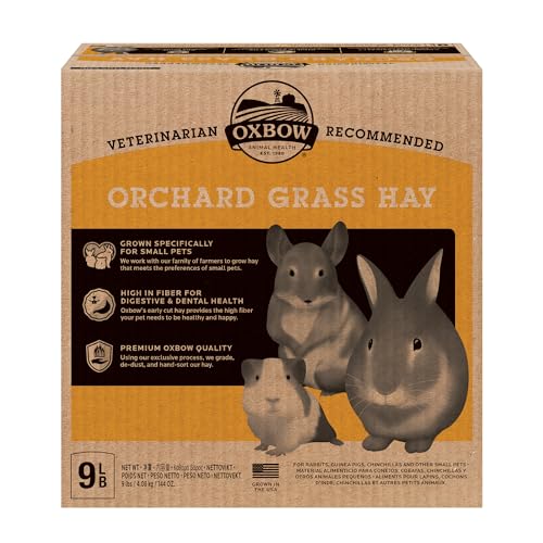Oxbow Animal Health Orchard Grass, Guinea Pig Hay, Rabbit Hay, Small Pet Bunny Supplies, All Natural Grass for Guinea Pig, Bunny, Chinchilla
