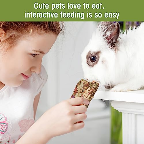 Abizoo Rabbit Natural Treats,10Pcs Timothy Hay Toys Chips Bunny chew Toys with Herbal Flowers Guinea Pig Treats for Hamster Chinchillas Gerbils Rats
