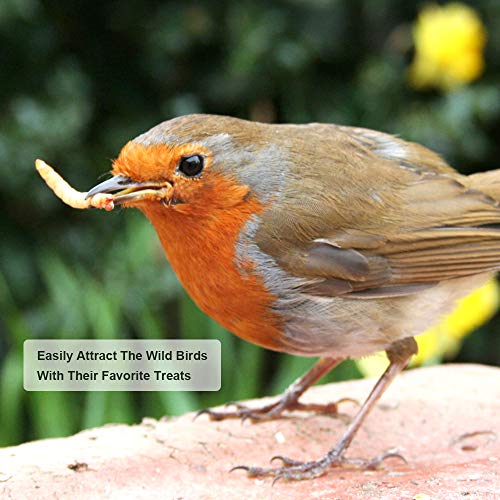 20lbs Mealworms, High-Protein Dried Mealworms for Birds, Chickens, Turtles, Fish, Hamsters and Hedgehogs, Non-GMO and Chemical Free, All Natural