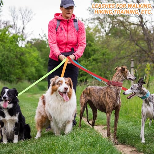 12 Pcs Dog Leashes for Small Medium Large Dogs, 6FT Lead Short Dog Leash with Swivel Hook for Walking, Training, Hiking, Rescues, Grooming, Shelter