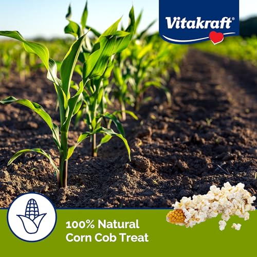 Vitakraft Mini Pops Microwavable Corn Cobs for Small Animals - Corn on The Cob Snack for Hamsters, Rabbits, & Guinea Pigs - Pet Treat & Enrichment