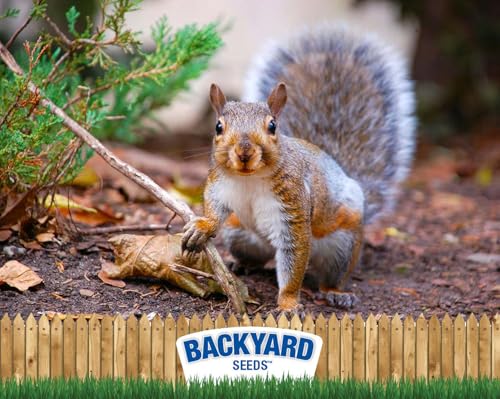 CountryMax Backyard Seeds Squirrel & Chipmunk Food Mix – 8 lb Bag – Premium Wildlife Blend with Sunflower Seeds, Peanuts & Corn – Ideal for