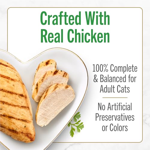 Purina Fancy Feast Petites Grilled Chicken Entrée With Rice In Gravy Gourmet Wet Cat Food - (Pack of 12) 2.8 oz. Tubs