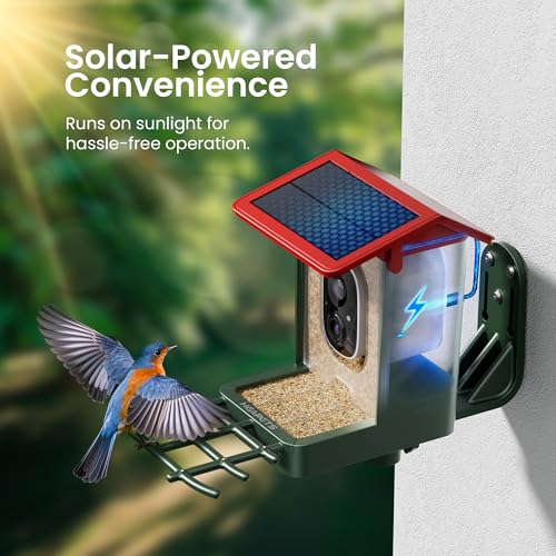 Smart Bird Feeder with Camera Solar Powered, 2K HD Video, AI Bird Species Identification, Instant Arrival Alerts, Weatherproof Design for Effortless