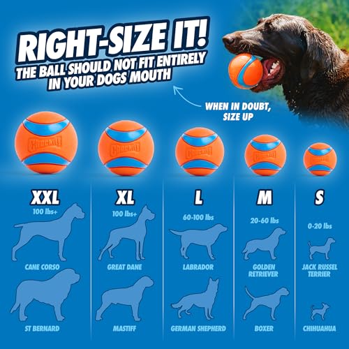 Chuckit! Sport 14S Ball Launcher for Small Dogs, 14-Inch Manual Thrower with 2-Inch Ball, Fits Dogs up to 20 lbs
