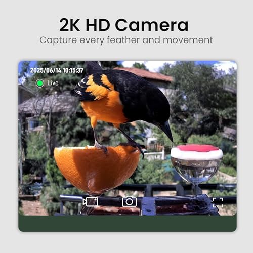 Smart Bird Feeder with Camera Solar Powered, 2K HD Video, AI Bird Species Identification, Instant Arrival Alerts, Weatherproof Design for Effortless
