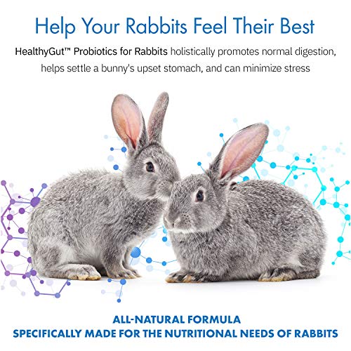 HealthyGut Probiotics for Rabbits Dietary Supplement, All-Natural Digestive System Formula (120 Servings)