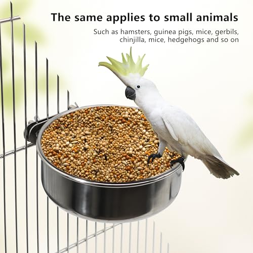 2 Pcs Small Bird Feeding Dish Cups,Parrot Food Bowl Cage with Clamp Holder Stainless Steel,Birdcage Coop Water Feeder for Cockatiel Parakeet Macaw