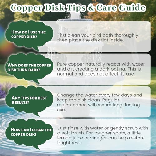 Bird Bath Copper Disk, 4 Inch 0.6mm Thick 99.9% Pure Copper Disc with Triple-Point Support, Natural Water Cleaner for All-Season Use, Universal Fit