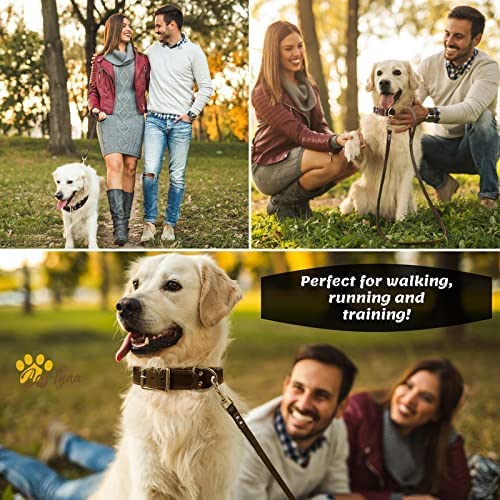 ADITYNA Leather Dog Leash 6 ft x 3/4 inch - Soft, Strong, Heavy Duty for Large & Medium Breeds - Dog Lead for Walking, Training, Hiking and Running