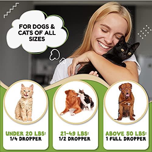 Billion Pets - Hemp Oil for Dogs and Cats - Helps with Anxiety, Pain, Stress, Sleep, Arthritis, Seizures Relief - Hip and Joint Support - Calming