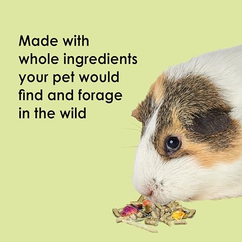 Kaytee Food from The Wild Natural Pet Guinea Pig Food, 4 Pound