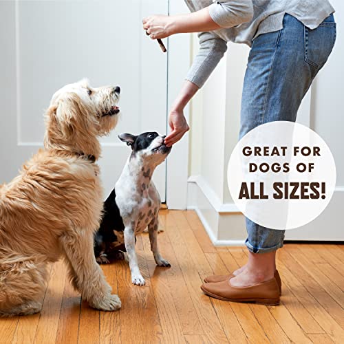 Rocco & Roxie Beef Jerky Dog Treats 1 lb | Soft Training Snacks Made in USA | High Value Beef Jerky for Dogs, Small, Large Breeds, Seniors, and