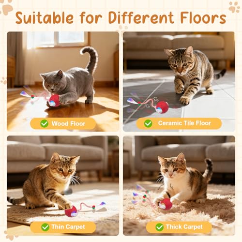 Interactive Cat Ball Toy, Chirping Motion Activated Electric Rechargeable Cat Toy with 2 Replaceable Tails, Self Play Hunting Rolling Indoor Cat Toys