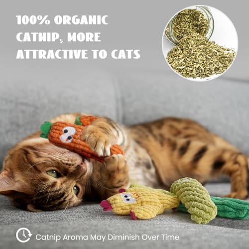 Pawsible Cat Toys for Indoor Cats, 100% Pure Organic Catnip-Filled Toys Without Cotton, Interactive Cactus Kitten Toy for Anxiety Relief, Soft Cute