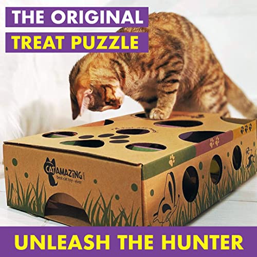 Cat Amazing Interactive Treat Maze and Puzzle CAT Toy