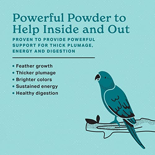The Missing Link Avian Color & Shine Superfood Supplement Powder for Captive Birds - Flaxseed, Yucca, Kelp, Phytonutrients & Protein - Supports