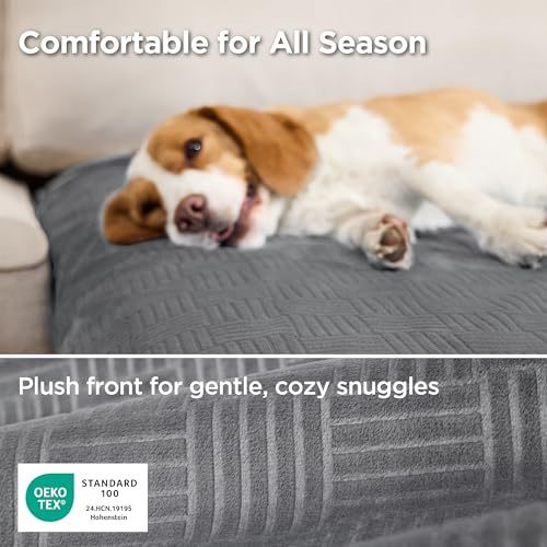Bedsure Waterproof Couch Cover for Dogs Washable - Waterproof Blanket for Large Dogs Couch Sofa Bed Cozy, Lightweight Furniture Protector for Pet Cat