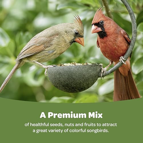 Kaytee Ultimate Birder's Blend Food, Wild Bird Seed For Grosbeaks, Cardinals, Nuthatches, Woodpeckers & More Outside Feeders, 10 Pound