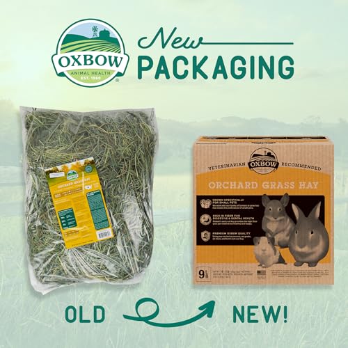 Oxbow Animal Health Orchard Grass, Guinea Pig Hay, Rabbit Hay, Small Pet Bunny Supplies, All Natural Grass for Guinea Pig, Bunny, Chinchilla
