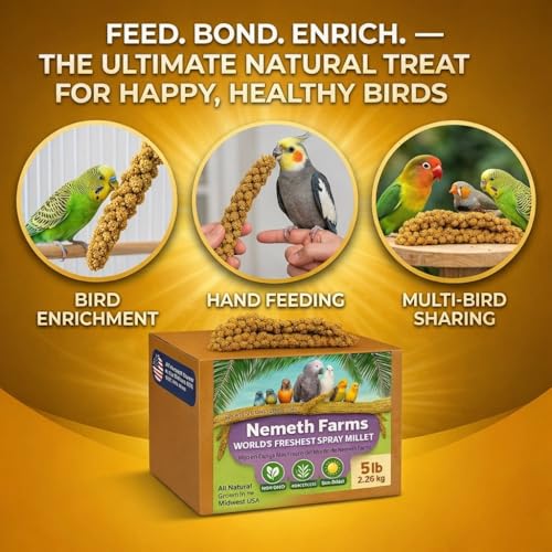 Nemeth Farms Spray Millet - Edible Tops Only, Non-GMO and Sun-Dried - 1 lb for Parakeets, Canaries and Finches