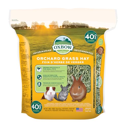 Oxbow Orchard Grass Hay for Small Pets – All-Natural Long Strand Fiber Hay for Rabbits, Guinea Pigs, Chinchillas, and Hamsters – Supports Digestive
