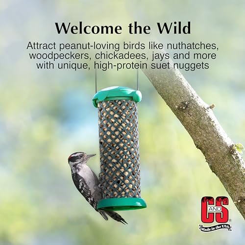 C&S Peanut Suet Nuggets, Outdoor Wild Bird Food for Nuthatches, Woodpeckers and Chickadees, 27 Ounces
