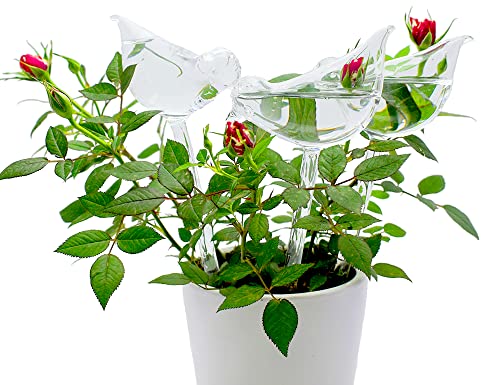 Glass Plant Watering Globes, Self Watering Globes Bird Shape, Self Watering Planter Insert, Plant Watering Devices, Automatic Plant Waterer Indoor