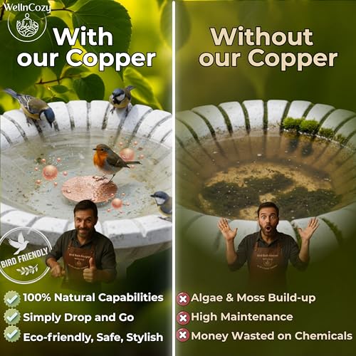 Bird Bath Copper Disk & Maintenance Set, 2 Hammered Style 0.8mm, 99.9% Pure Copper Plate, Rustic Birdbath Accessories for Bowl and Fountain, Supports