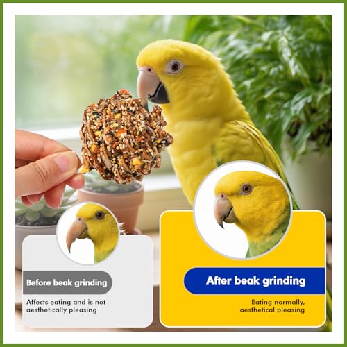 Abizoo Natural Pinecone Chew Toys with Edible Sunflower & Veggies - Malt Sugar Coated Foraging Enrichment for Parrots Cockatiels Conures Budgies