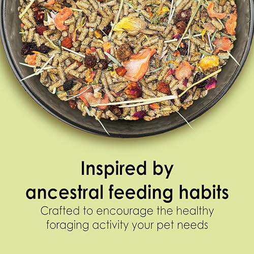Kaytee Food from The Wild Natural Pet Guinea Pig Food, 4 Pound
