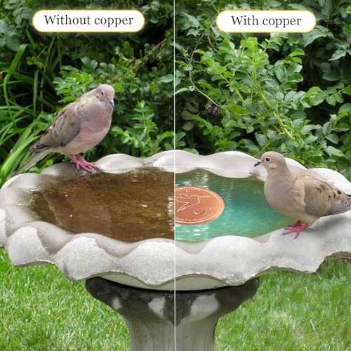 Bird Bath Copper Disk, Copper Disc for Bird Bath 99.99% Pure 0.6 mm Thick with Triple-Point Support for Physical Safe Clean Water for Outdoor