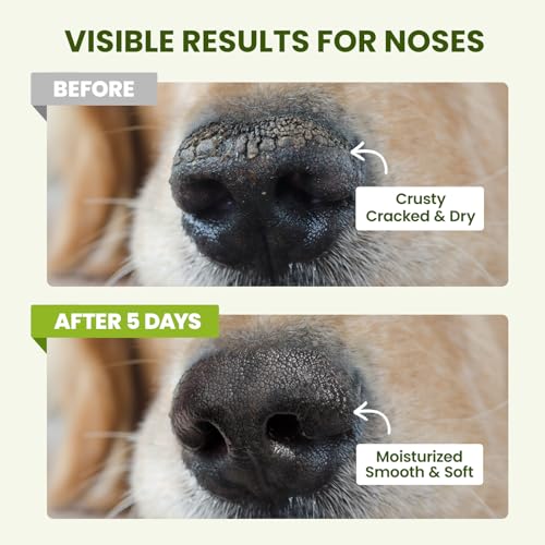 PawSono Lick-Safe Dog Paw & Nose Balm with Coconut Oil | All-Natural Moisturizer & Soother for Dry, Cracked Pads & Snout | Heat & Cold Pavement