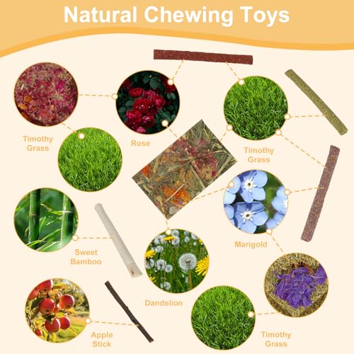 65PCS Rabbit Bunny Guinea Pig Chew Toys Treats, Chinchilla Hamster Chews Toys for Teeth, Timothy Hay Chips Treats Sticks for Rabbit Guinea Pig