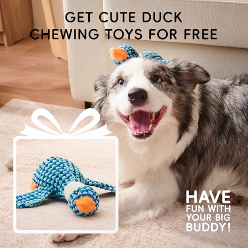 Homemate Dog Bed Large Sized Dog: 42x30 inch Orthopedic Large Dogs Bed XL Outdoor Pet Cat Bed Sofa Supplies with Toy Dogs Crate Pad Couch with