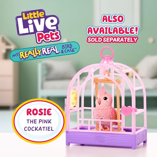 Little Live Pets My Really Real Talking Bird Toy & Cage - Indie, Interactive Voice Repeating Toy, 20+ Sounds & Reactions, Talking Toys for Kids 5-7