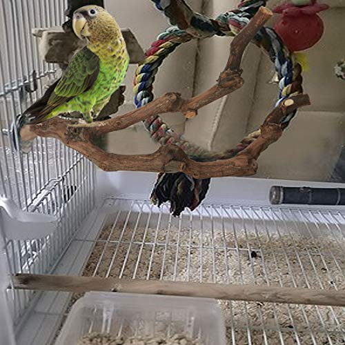 kathson Natural Parrot Perch Bird Stand Pole Wild Grape Stick Paw Grinding Fork Parakeet Climbing Standing Branches Toy Chewable Cage Accessories for