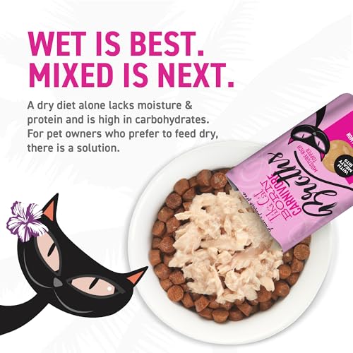 Tiki Cat Born Carnivore Broths, Salmon Recipe, Hydration and Flavor Supplement Cat Food Topper, 1.3 oz. Pouch (Pack of 12)
