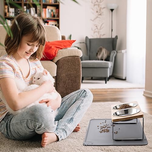 Upgraded Elevated Cat Bowls with Food Mat,15°Tilted Stand Anti Vomiting Raised Cat Dishes for Food and Water,2 Stainless Steel Bowls for Cats and