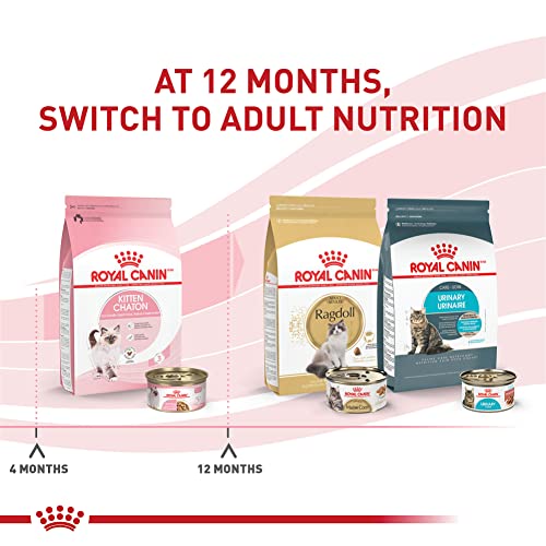 Royal Canin Feline Health Nutrition Kitten Thin Slices in Gravy Cat Food, 3 oz (Pack of 24)