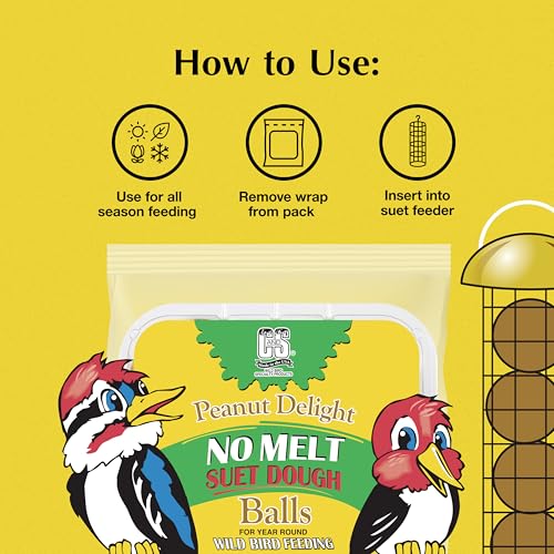 C&S Peanut Delight No Melt Dough Balls for Wild Birds Including Woodpeckers and Blue Jays, Pack of 4