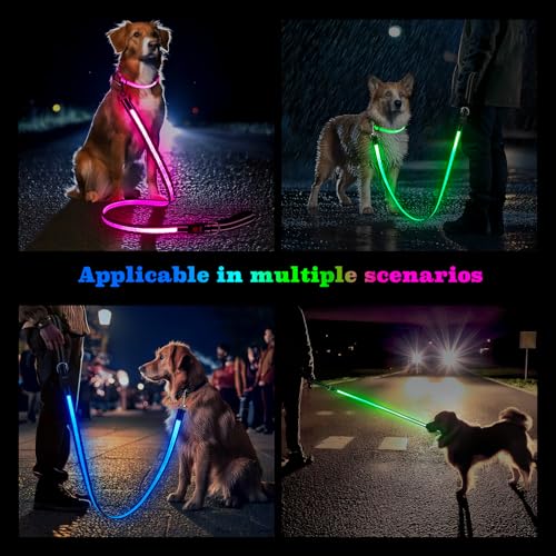 4 Ft LED Dog Leash, Light Up & Lighted Dog Leash, 7 Lighting Modes, Glow in The Dark, Reflective, Double-Sided Light, Rechargeable with Padded Handle