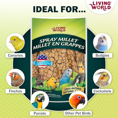 Living World - Millet Spray for Birds, 3.5 Oz – Premium Treat for Budgies, Canaries, Finches, Cockatiels and Other Pet Birds