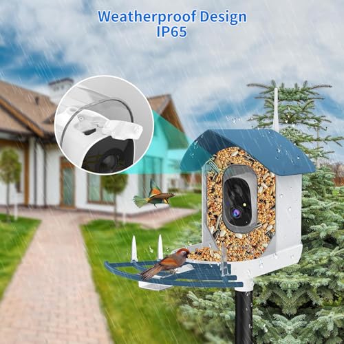 Bird Feeder with Camera,AI Identify Birds Species,Smart Bird Camera with Solar Powered,Auto Record FHD Birds Video in Backyard,Instant