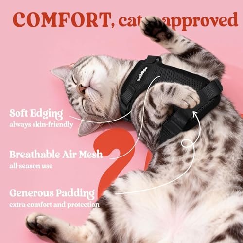 rabbitgoo Cat Harness and Leash for Walking, Escape Proof Soft Adjustable Vest Harnesses for Cats, Easy Control Breathable Reflective Strips Jacket